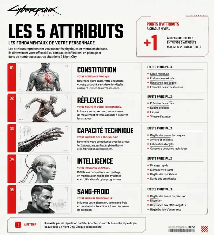 Infographie des attributs de Cyberpunk 2077 pour optimiser votre build et votre soluce.